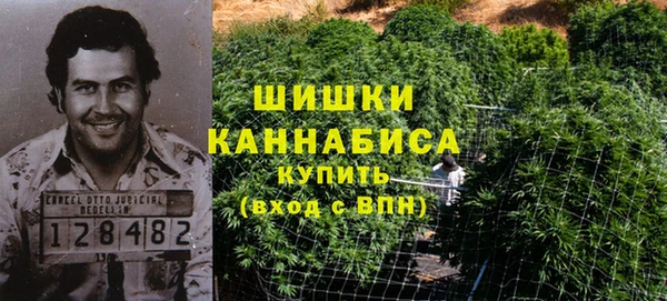 ECSTASY Каменногорск