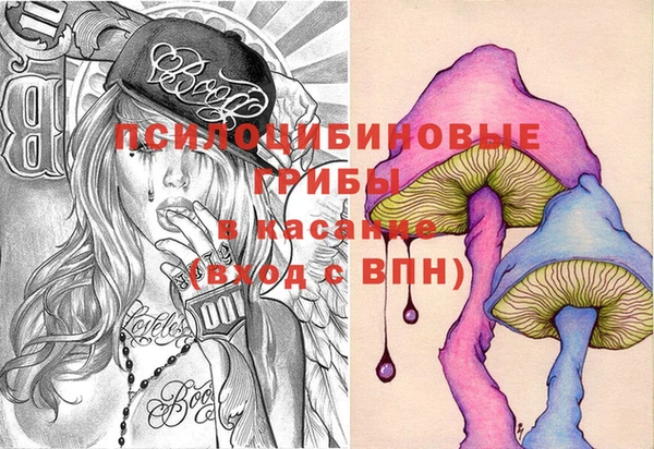 ECSTASY Каменногорск