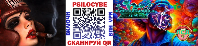 Купить закладки Зеленогорск Псилоцибиновые грибы Cubensis